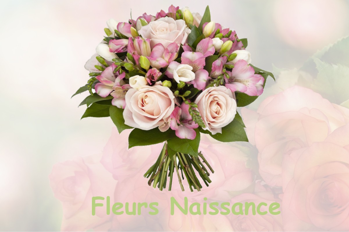 fleurs naissance PORTET-D-ASPET