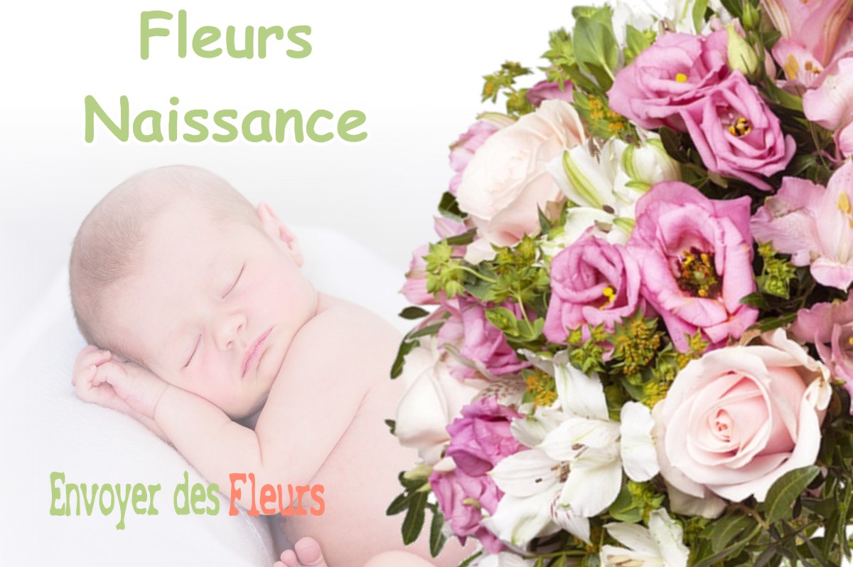 lIVRAISON FLEURS NAISSANCE à PORTET-D-ASPET